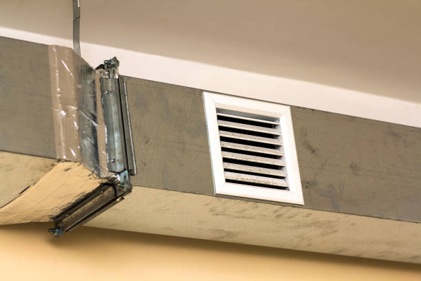 Best Ductwork Cleaning Services  in Woodhaven, MI